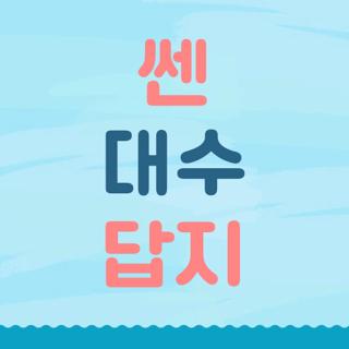 쎈 대수 답지